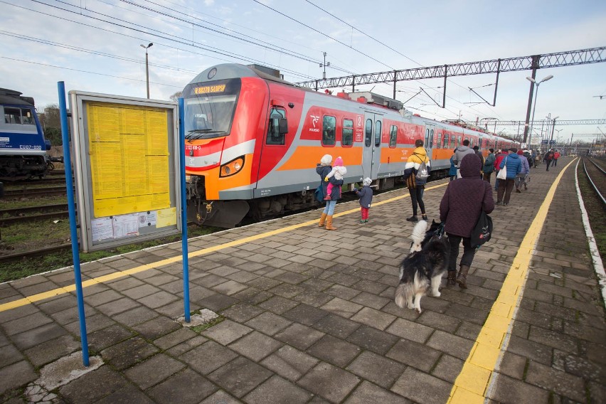 Pociągi wróciły na trasę Słupsk - Ustka. Do końca roku przejazdy za darmo [zdjęcia]