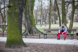 Las Ojców czy park Młodej Bydgoszczy - pomysł jest z pewnością dobry