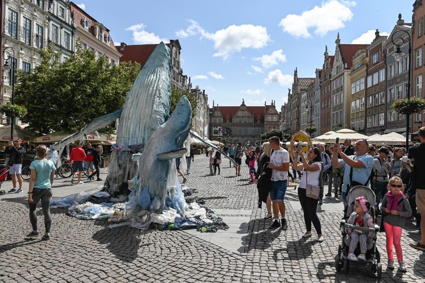 Greenpeace Polska apeluje o wdrożenie dyrektywy o...