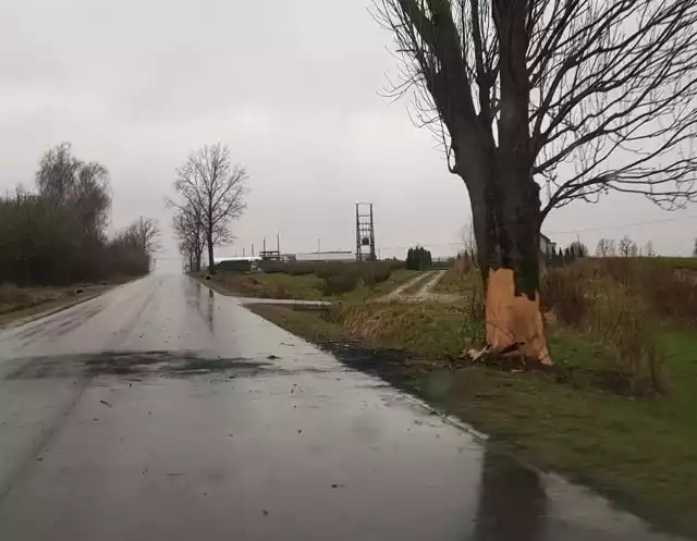 Do tego tragicznego zdarzenia doszło w nocy z poniedziałku na wtorek w Końskowoli (pow. puławski)