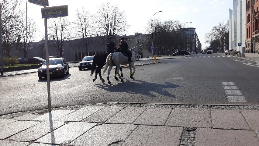 Patrole konne pojawiły się na ulicach Szczecina [ZDJĘCIA]