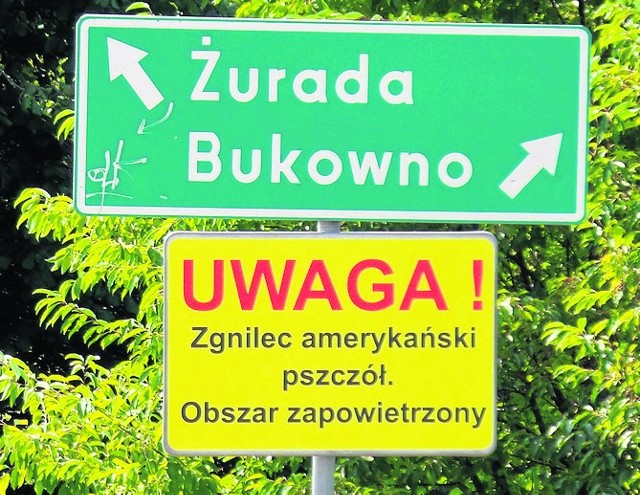 Zgnilec amerykański został wykryty w dwóch pasiekach w Trzebini. Znaki ostrzegające o chorobie postawiono przy drogach