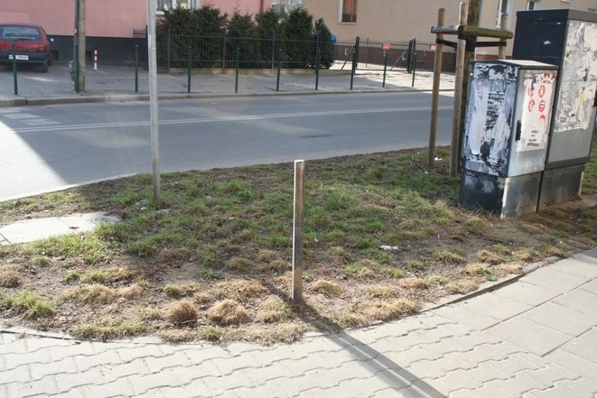 Jeżyce w Poznaniu są brudne, bo brakuje tam koszy na śmieci?
