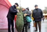 Rozdawanie choinek w Lublinie. Przed CSK czekało sto drzewek (ZDJĘCIA)