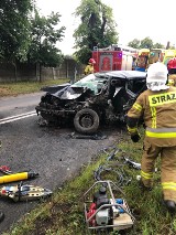 Kolejny tragiczny wypadek w Poznaniu. Samochód uderzył w drzewo. Kierowca zginął na miejscu