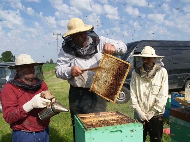 Członkiem sieci jest m.in. Rodzinna Pasieka  znanych pszczelarzy Jacka i Tomasza Paulów w Gniewkowie