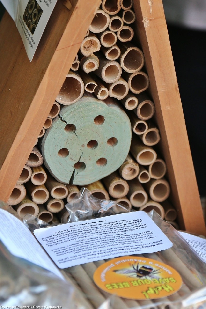 Wrocław:Dzień Pszczoły w Ogrodzie Botanicznym (ZDJĘCIA)