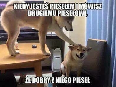 Policja obchodzi swoje święto.  Z tej okazji...