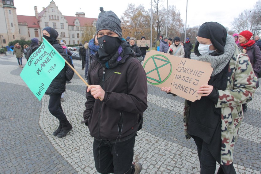 W Poznaniu odbył się  Marsz dla Klimatu. W ten sposób...