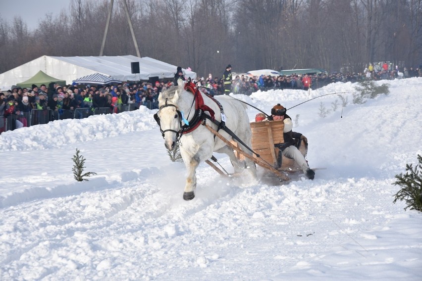 Parada Gazdowska 2019 - Biały Dunajec