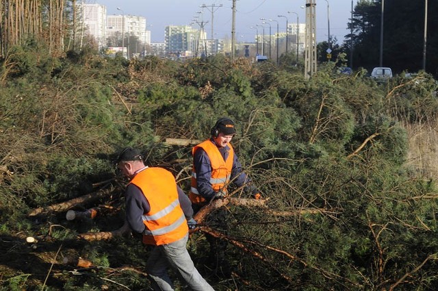 Część drzew, na ponad 4-kilometrowym odcinku od ulicy Wyścigowej do Korfantego została już usunięta.