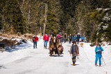 Tatry. Wiosenna aura sprawiła, że turyści chętnie ruszyli na szlaki. Zarówno pieszo, jak i na skiturach