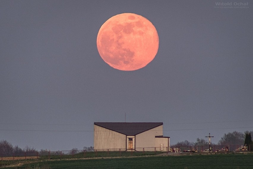 Wyjątkowe zdjęcia różowego Księżyca wykonane w Woli...