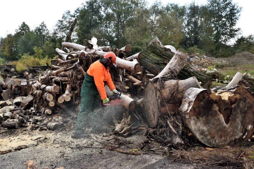 Gmina Choroszcz po raz kolejny bezpłatnie ofiaruje drewno mieszkańcom. Tradycja niesienia pomocy trwa od 2017 roku