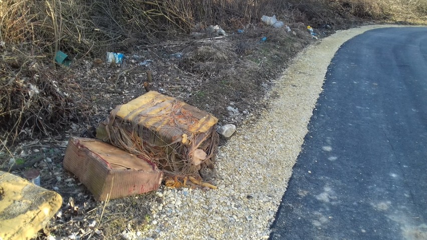 Oświęcim, park w pobliżu Zakładów Chemicznych