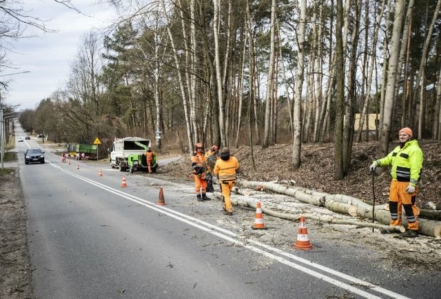 Wykonawca rozpoczął prace przygotowawcze do przebudowy ulicy Szydłowieckiej,. Trwa wycinka drzew wzdłuż drogi, w związku z tym są utrudnienia w ruchu.
