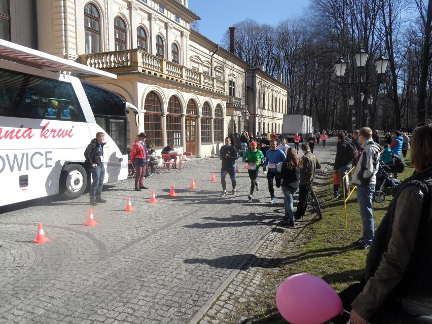 Bieg Polki dla Polki w Żywcu. Promowali profilaktykę badań i zbierali pieniądze [ZDJĘCIA+WIDEO] 