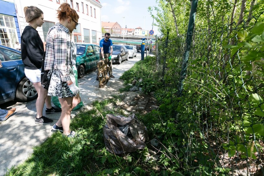 Szczecinianie posprzątali Podzamcze. Mają dość śmieci i szczurów [WIDEO, ZDJĘCIA]