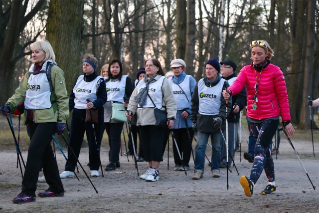 Na spacery z kijkami nordic walking można się wybrać codziennie do jednego z wrocławskich parków  