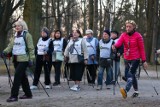 Nordic walking w parku to samo zdrowie, trwa akcja "Gazety Wrocławskiej". Można jeszcze dołączyć