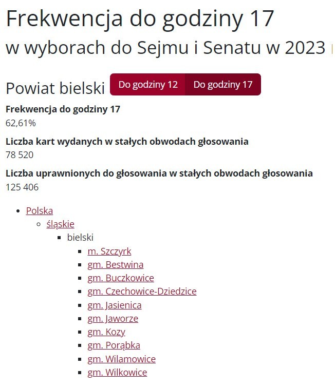 Wybory 2023 - frekwencja w województwie śląskim na godzinę 17