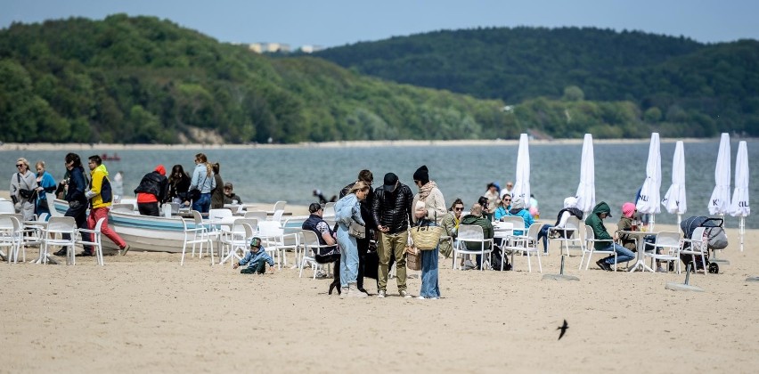 Wejście na plażę z psem....