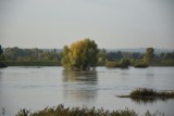 Fala kulminacyjna na Odrze. Jak wygląda sytuacja w Lubuskiem? Zobacz nasz raport