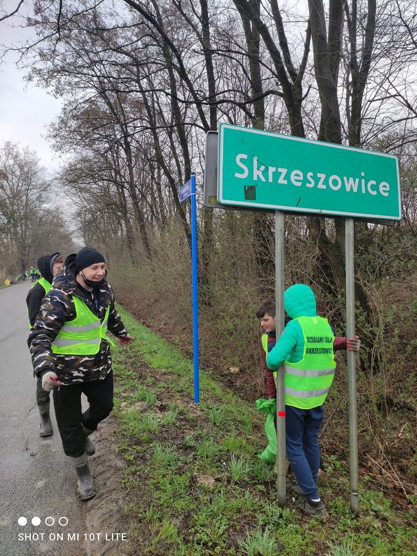 Wielkie sprzątanie w Skrzeszowicach. W Zbieranie śmieci...