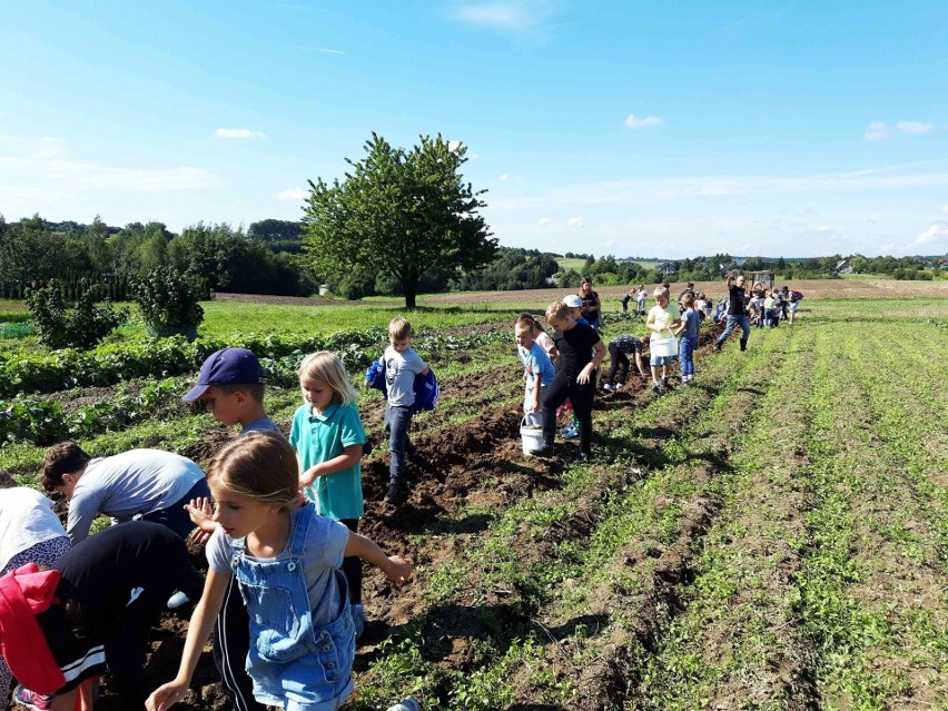 Edukacyjne wykopki w Nowej Górze. Żywe lekcje gospodarskiej tradycji na Ranczo Artemidy