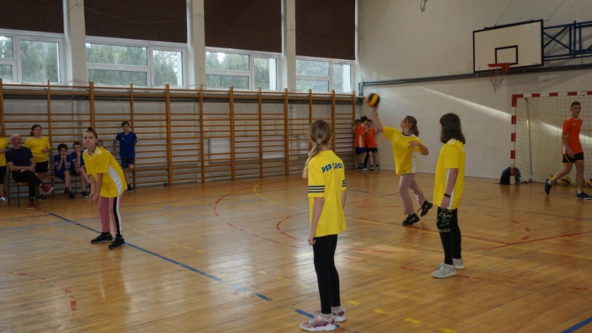 Międzyszkolne zawody w siatkówce w gminie Pniewy. Rywalizowały drużyny dziewcząt i chłopców. Zobacz zdjęcia