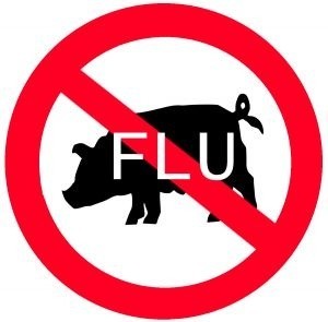 "Nowa grypa" - mutant grypy A H1/N1 zawiera geny wirusów świń i ludzi, to ostra choroba zakaźna przenoszona drogą kropelkową.