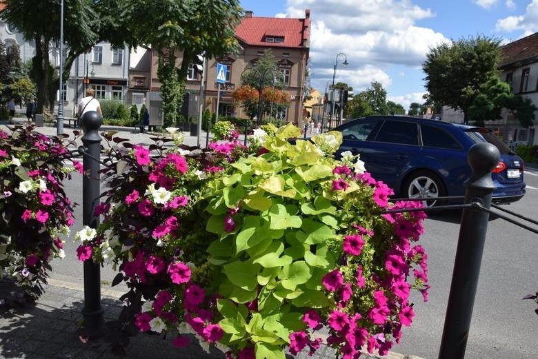 Czy potrzebujemy sezonowych kwiatów w miastach?