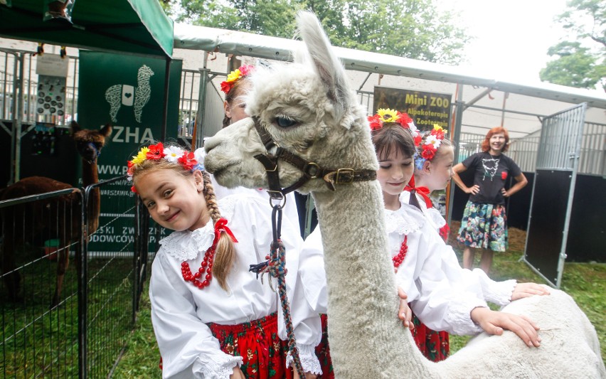 Tak prezentują się tegoroczne Dni Otwartych Drzwi PODR i...