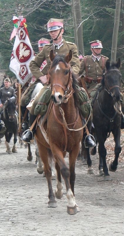 Przy Rogowym Słupie w pełnej gali wystąpią kieleccy kawalerzyści, spadkobiercy tradycji 13. Pułku Ułanów Wileńskich.