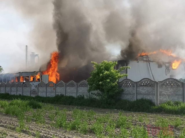 W poniedziałek, tuż po godz. 17.00 w miejscowości Smulsko w powiecie tureckim wybuch pożar tartaku. Kłęby dymu było widać z kilku kilometrów. Na miejsce przyjechały 32 zastępy straży pożarnej.