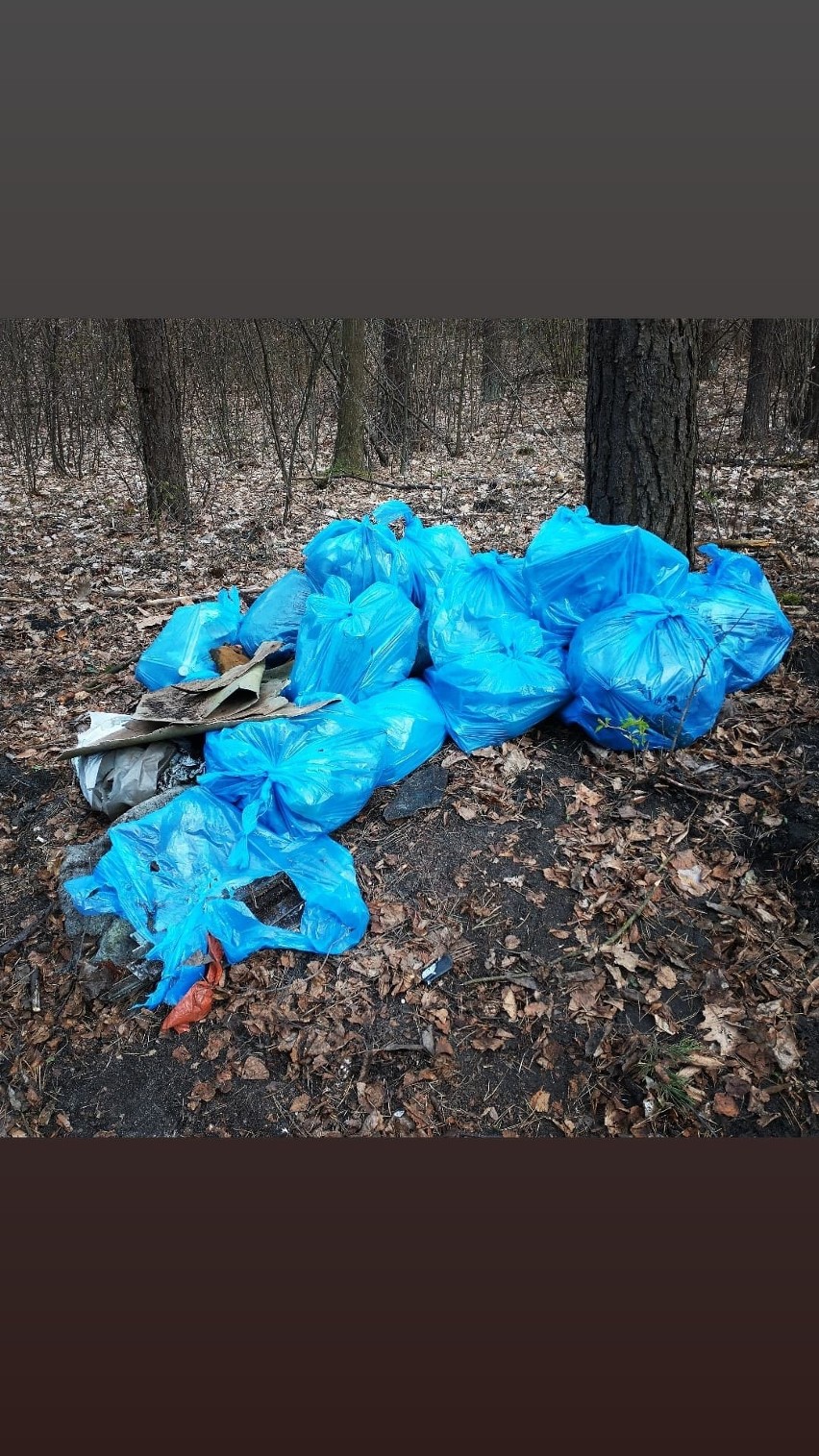 Grupa nastolatków z Podzamcza codziennie sprząta jurajskie...