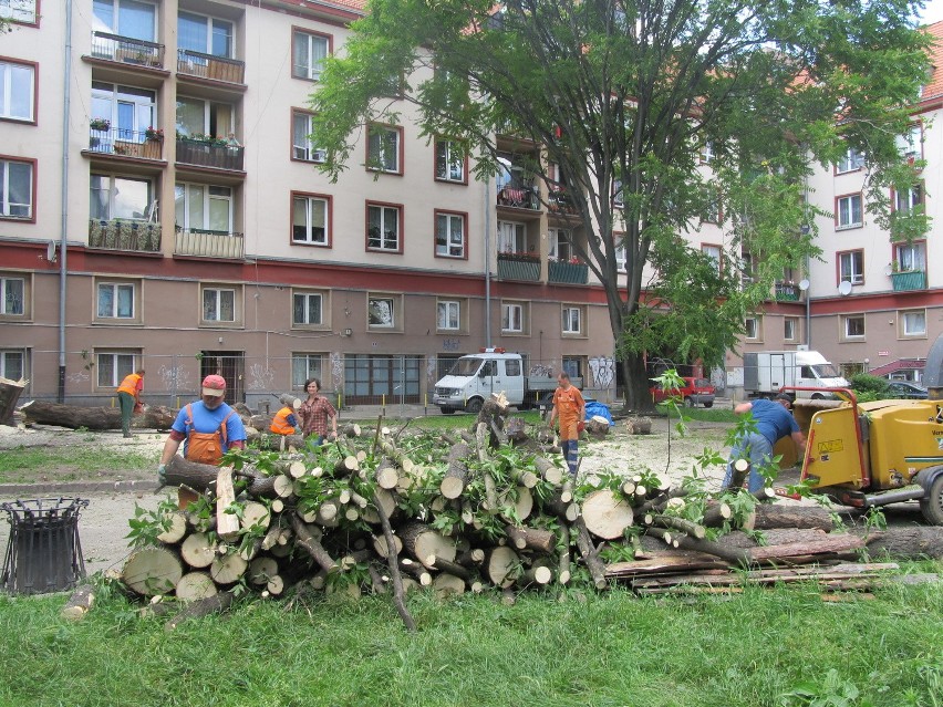 wycinka drzew przy ul. Szewskiej