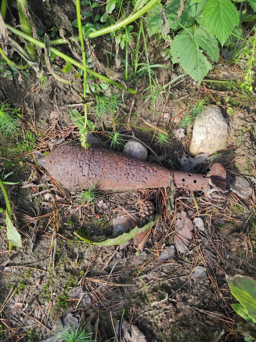 Niewybuch w Nagoszewce. Pocisk moździerzowy znaleziono w lesie podczas prac pielęgnacyjnych. Zdjęcia