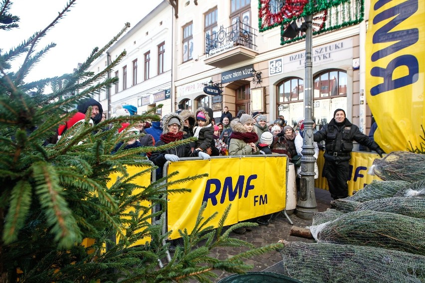 Rekordowa kolejka po choinkę RMF-u w Rzeszowie. Pierwsi...