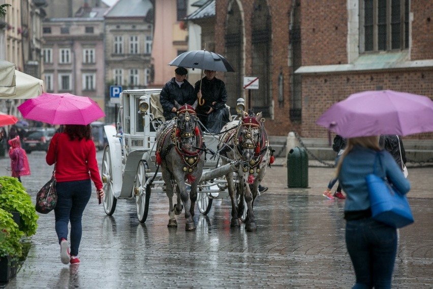 Fatalne prognozy dla Małopolski. Będzie mocno padać, mogą wylać rzeki [OSTRZEŻENIE IMGW]