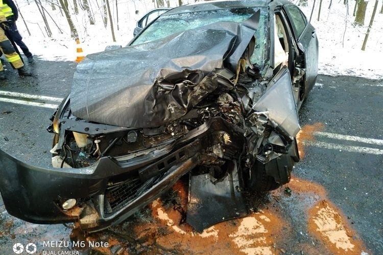 Groźny wypadek w Czerwionce-Leszczynach. 60-latek uderzył w drzewo ZDJĘCIA