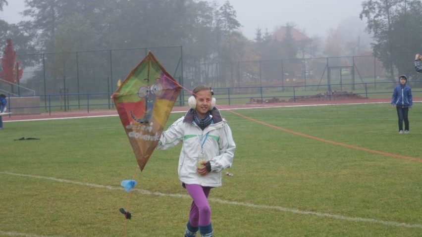 Prawie sześćdziesiąt latawców szybowało nad czerskim stadionem [zdjęcia]