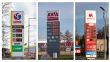 Szczecin z najwyższą średnią ceną benzyny Pb95 w Polsce. SPRAWDŹ CENY