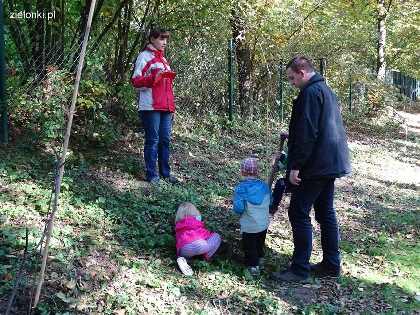 Półdziki skwer w Zielonkach pod lupą najmłodszych odkrywców przyrody