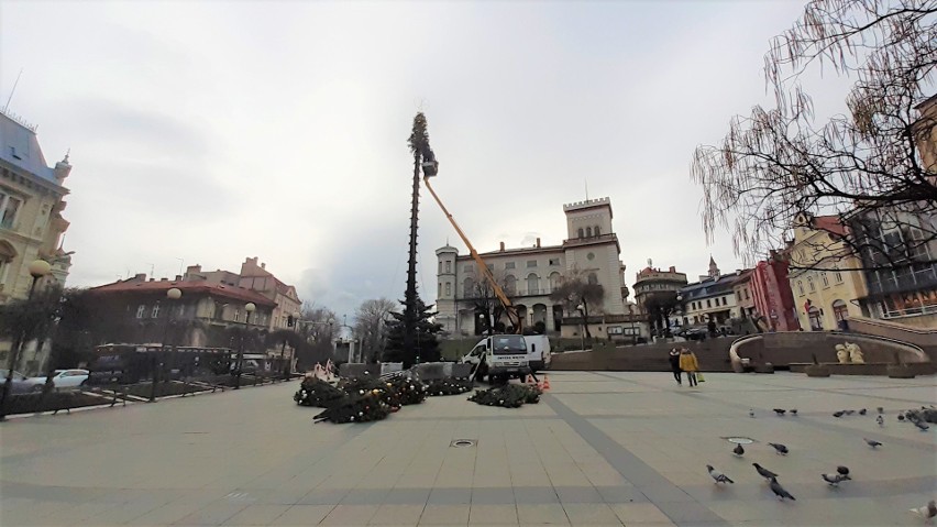 Bielsko-Biała. Choinka na placu Chrobrego rośnie w oczach. Ile miasto wyda na ozdoby świąteczne w tym roku?