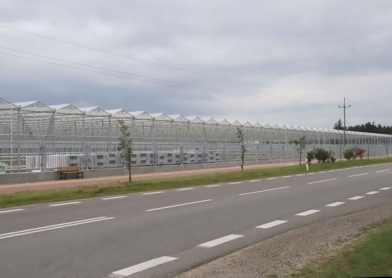 Szklarnie Zakładu Polskie Pomidory firmy Citronex w Ryczywole koło Kozienic są prawie gotowe. Produkcja ruszy we wrześniu - zdjęcia i film