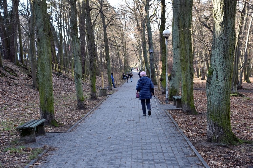 Park Tysiąclecia w Zielonej Górze zostanie zrewitalizowany...