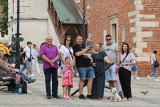 Sandomierz tętni życiem w sobotę 18 maja. Mieszkańcy i turyści zwiedzają zabytki, spacerują, odpoczywają. Zobacz zdjęcia   
