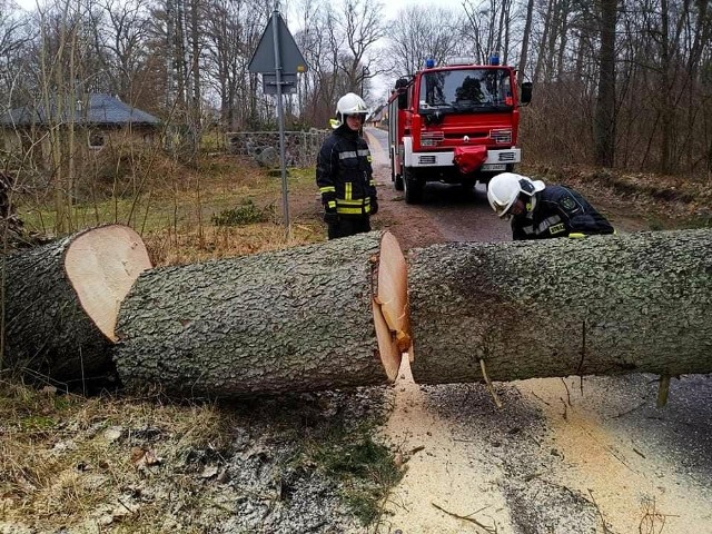 Strażacy ochotnicy z OSP Wrząca w ubiegły weekend walczyli ze skutkami orkanu Nadia, który w całym regionie spowodował mnóstwo zniszczeń. Część z nich spowodowała awarie w dostawach prądu i wody, m.in. na terenie gminy Kobylnica.