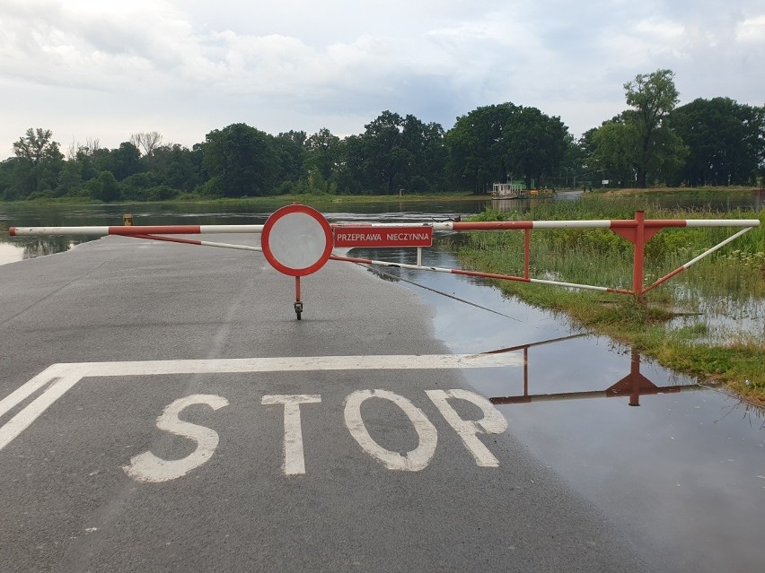 Tak wygląda Odra w Milsku